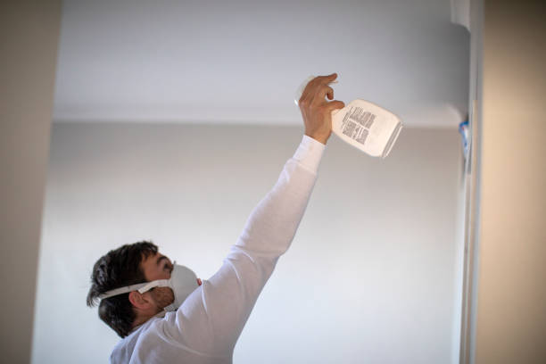 Trusted Milford, DE Mold Remediation Experts